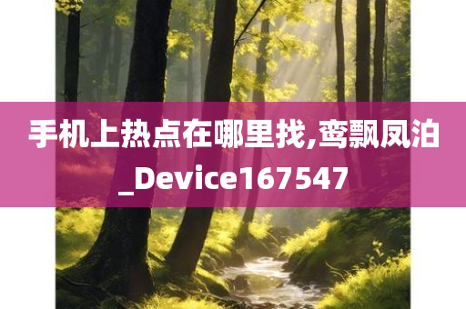 手机上热点在哪里找,鸾飘凤泊_Device167547