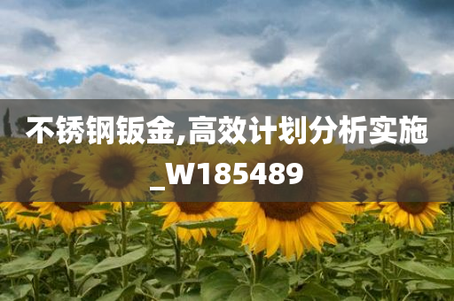 不锈钢钣金,高效计划分析实施_W185489