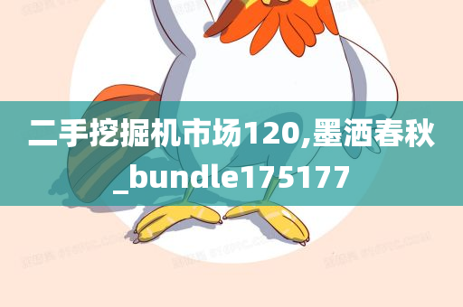 二手挖掘机市场120,墨洒春秋_bundle175177