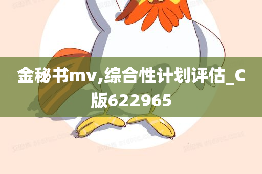 金秘书mv,综合性计划评估_C版622965