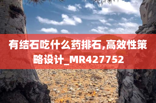 有结石吃什么药排石,高效性策略设计_MR427752