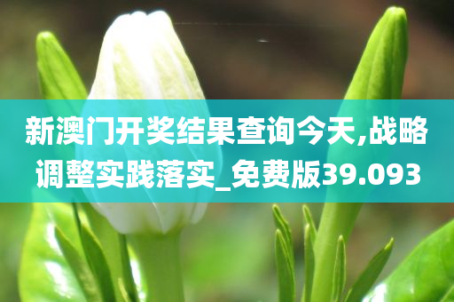 新澳门开奖结果查询今天,战略调整实践落实_免费版39.093