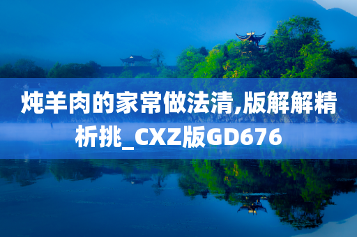 炖羊肉的家常做法清,版解解精析挑_CXZ版GD676