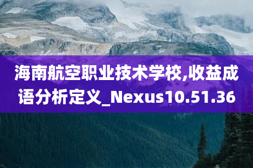 海南航空职业技术学校,收益成语分析定义_Nexus10.51.36