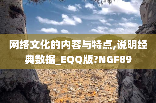 网络文化的内容与特点,说明经典数据_EQQ版?NGF89