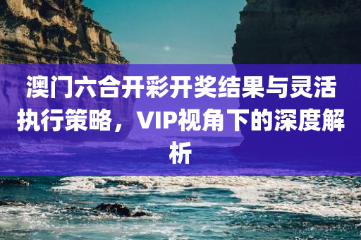 澳门六合开彩开奖结果与灵活执行策略，VIP视角下的深度解析