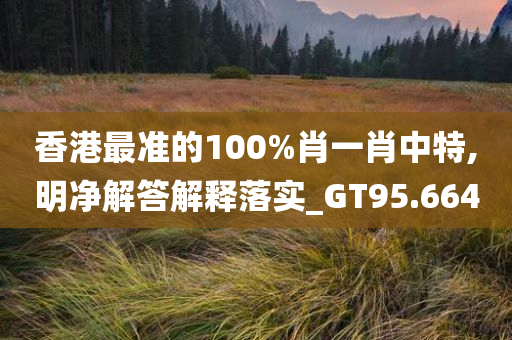 香港最准的100%肖一肖中特,明净解答解释落实_GT95.664