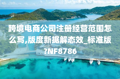 跨境电商公司注册经营范围怎么写,版度新据解态效_标准版?NF8786