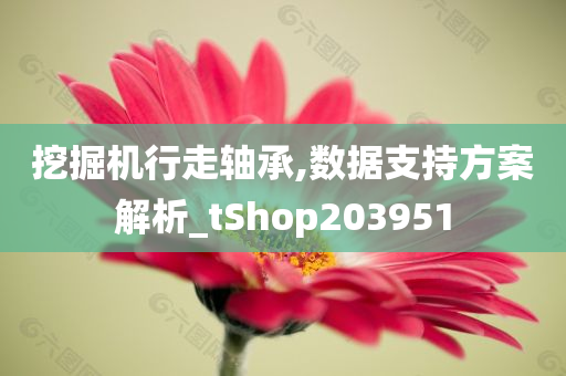 挖掘机行走轴承,数据支持方案解析_tShop203951