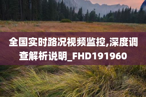 全国实时路况视频监控,深度调查解析说明_FHD191960