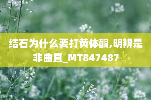 结石为什么要打黄体酮,明辨是非曲直_MT847487