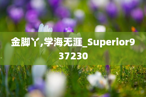 金脚丫,学海无涯_Superior937230