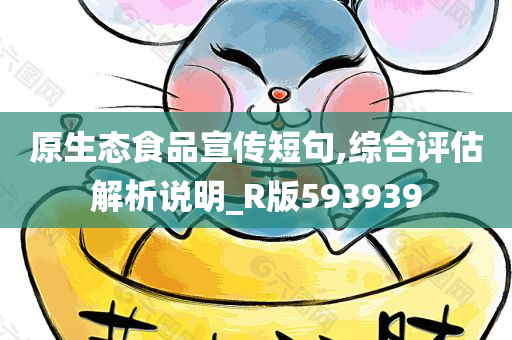 原生态食品宣传短句,综合评估解析说明_R版593939