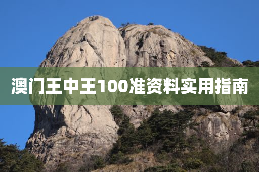 澳门王中王100准资料实用指南