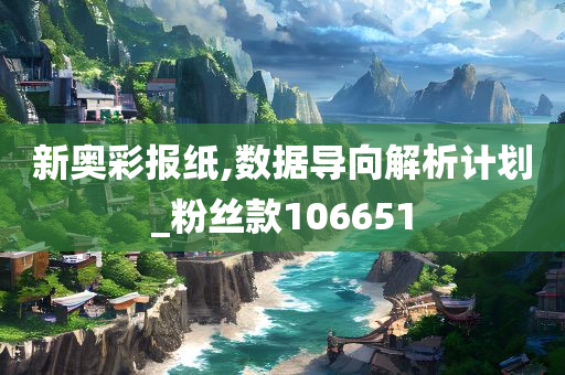 新奥彩报纸,数据导向解析计划_粉丝款106651