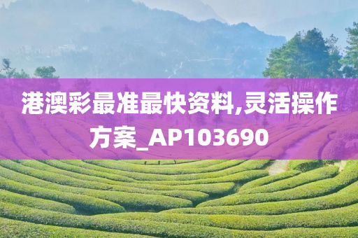 港澳彩最准最快资料,灵活操作方案_AP103690