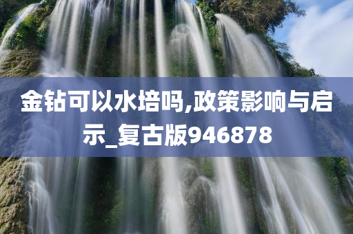 金钻可以水培吗,政策影响与启示_复古版946878