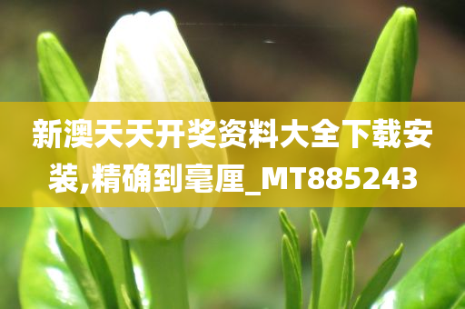 新澳天天开奖资料大全下载安装,精确到毫厘_MT885243