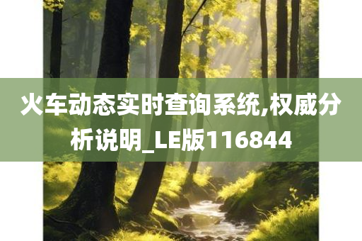 火车动态实时查询系统,权威分析说明_LE版116844