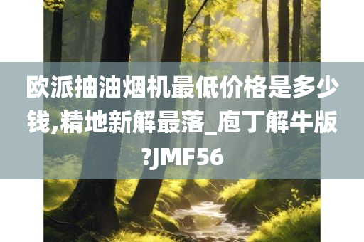 欧派抽油烟机最低价格是多少钱,精地新解最落_庖丁解牛版?JMF56