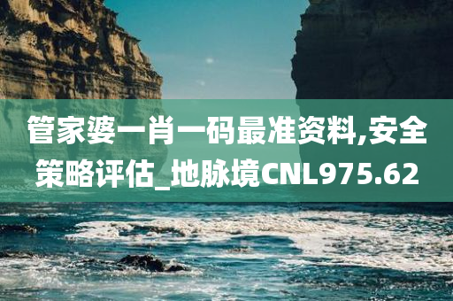 管家婆一肖一码最准资料,安全策略评估_地脉境CNL975.62