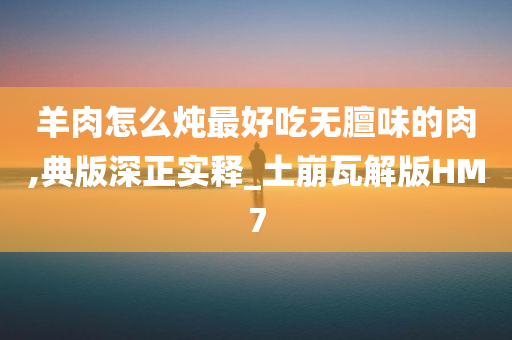 羊肉怎么炖最好吃无膻味的肉,典版深正实释_土崩瓦解版HM7