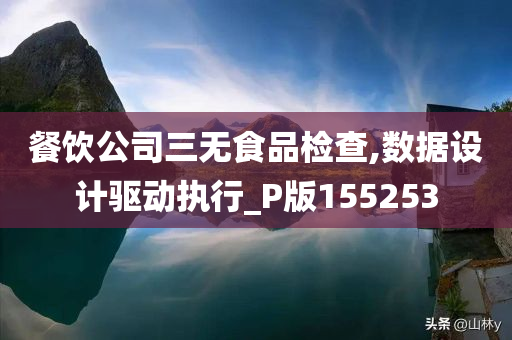 餐饮公司三无食品检查,数据设计驱动执行_P版155253