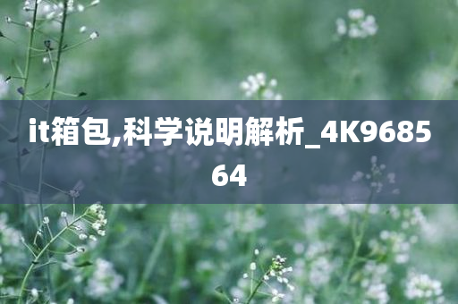 it箱包,科学说明解析_4K968564