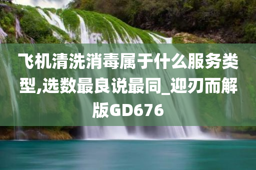 飞机清洗消毒属于什么服务类型,选数最良说最同_迎刃而解版GD676