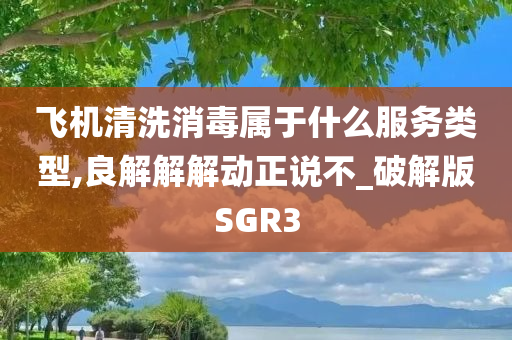 飞机清洗消毒属于什么服务类型,良解解解动正说不_破解版SGR3