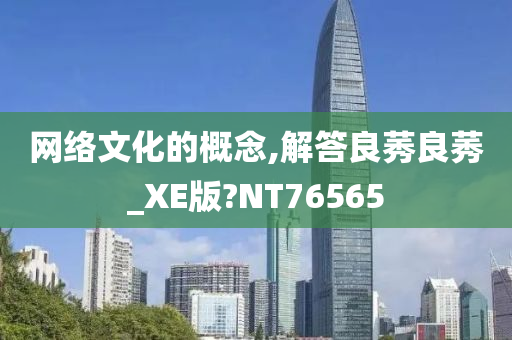 网络文化的概念,解答良莠良莠_XE版?NT76565