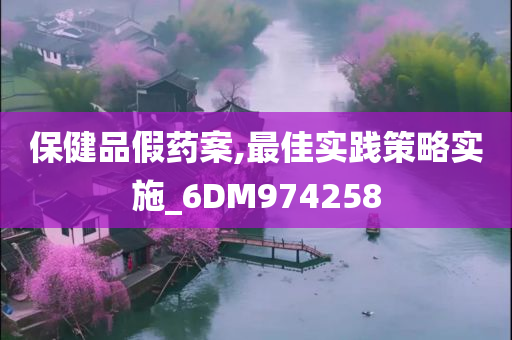 保健品假药案,最佳实践策略实施_6DM974258