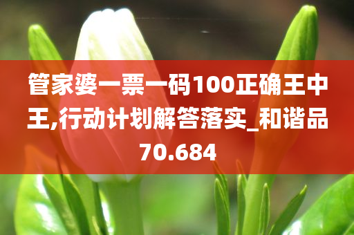 管家婆一票一码100正确王中王,行动计划解答落实_和谐品70.684