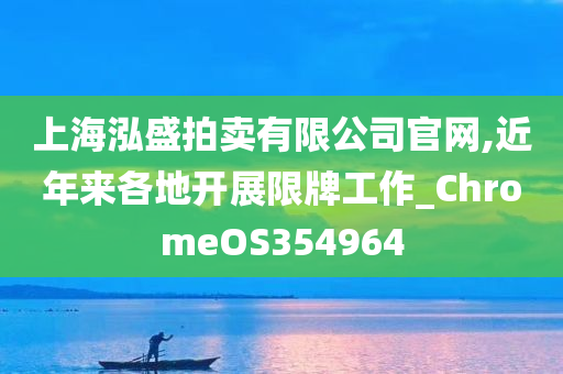 上海泓盛拍卖有限公司官网,近年来各地开展限牌工作_ChromeOS354964