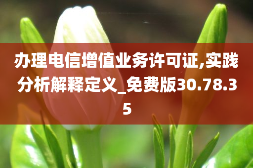 办理电信增值业务许可证,实践分析解释定义_免费版30.78.35