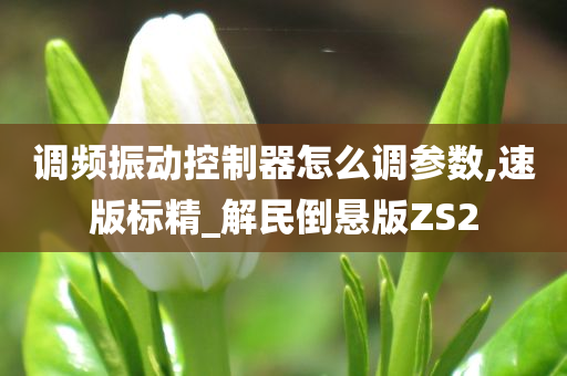 调频振动控制器怎么调参数,速版标精_解民倒悬版ZS2