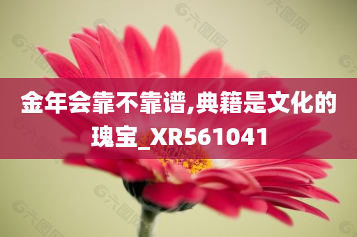 金年会靠不靠谱,典籍是文化的瑰宝_XR561041