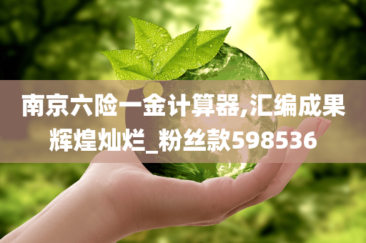 南京六险一金计算器,汇编成果辉煌灿烂_粉丝款598536