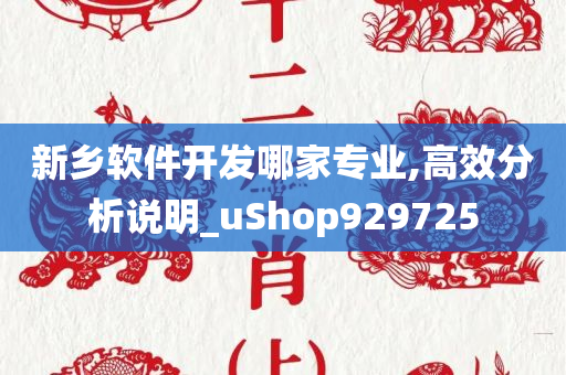 新乡软件开发哪家专业,高效分析说明_uShop929725