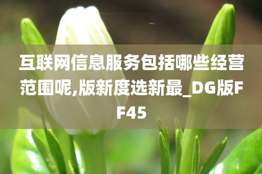 互联网信息服务包括哪些经营范围呢,版新度选新最_DG版FF45