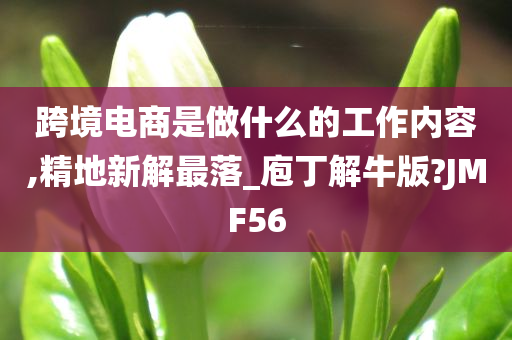 跨境电商是做什么的工作内容,精地新解最落_庖丁解牛版?JMF56