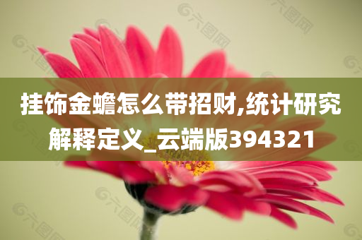 挂饰金蟾怎么带招财,统计研究解释定义_云端版394321