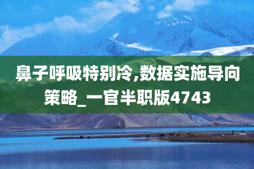 鼻子呼吸特别冷,数据实施导向策略_一官半职版4743