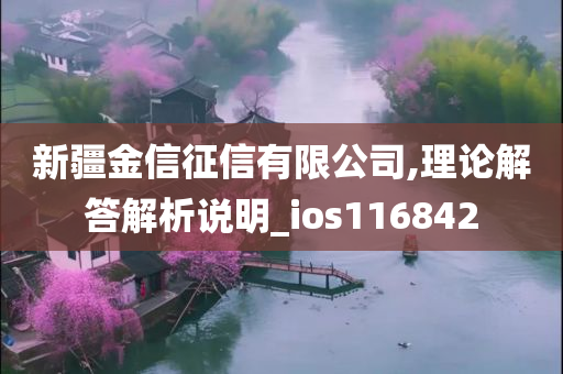 新疆金信征信有限公司,理论解答解析说明_ios116842