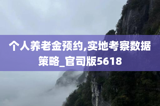 个人养老金预约,实地考察数据策略_官司版5618