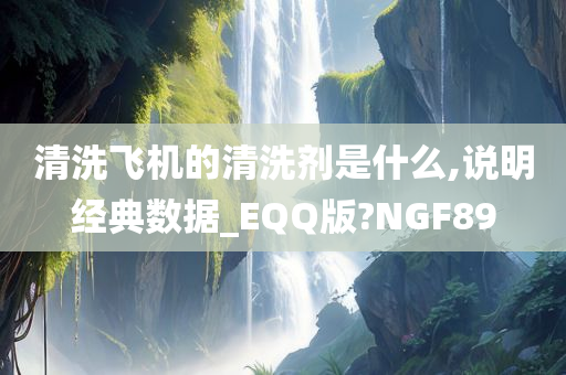 清洗飞机的清洗剂是什么,说明经典数据_EQQ版?NGF89