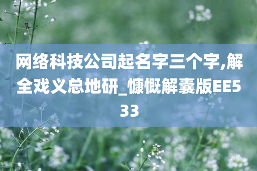 网络科技公司起名字三个字,解全戏义总地研_慷慨解囊版EE533