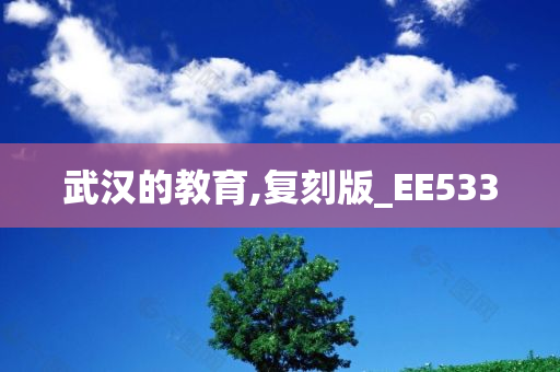 武汉的教育,复刻版_EE533