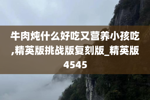 牛肉炖什么好吃又营养小孩吃,精英版挑战版复刻版_精英版4545