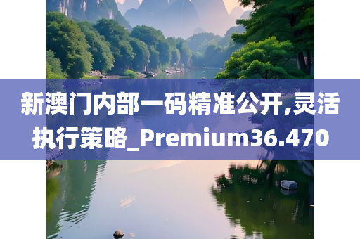 新澳门内部一码精准公开,灵活执行策略_Premium36.470